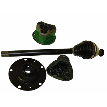 AANDRIJFAS LINKS + TRIPOIDE AANDRIJFAS LINKS + TRIPOIDE